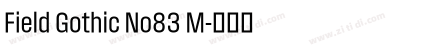Field Gothic No83 M字体转换